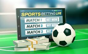 Baji Sports App Download The Ultimate Sports Experience on Your Mobile